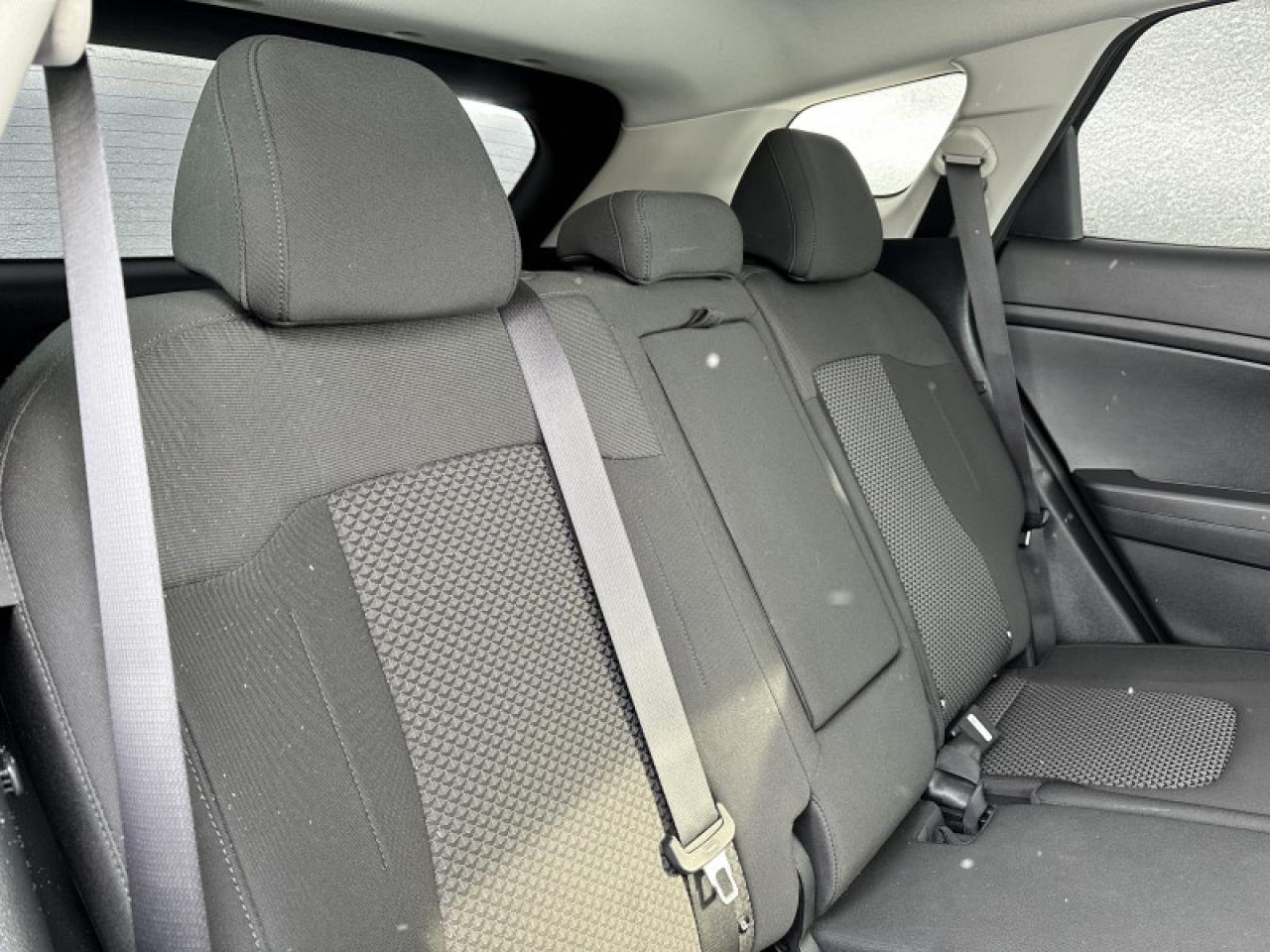 2024 Kia Sportage LX AWD Photo