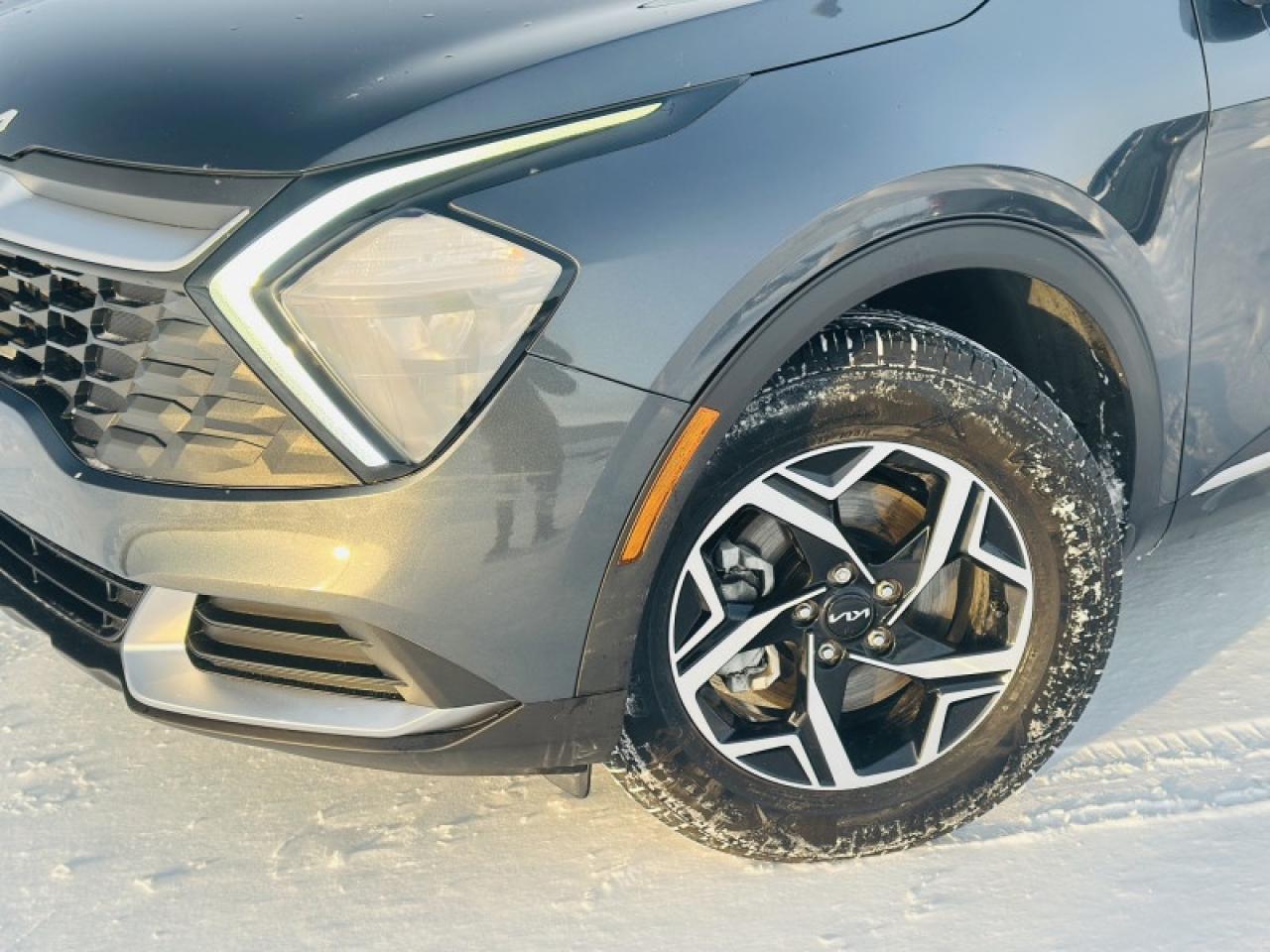 2023 Kia Sportage LX Photo