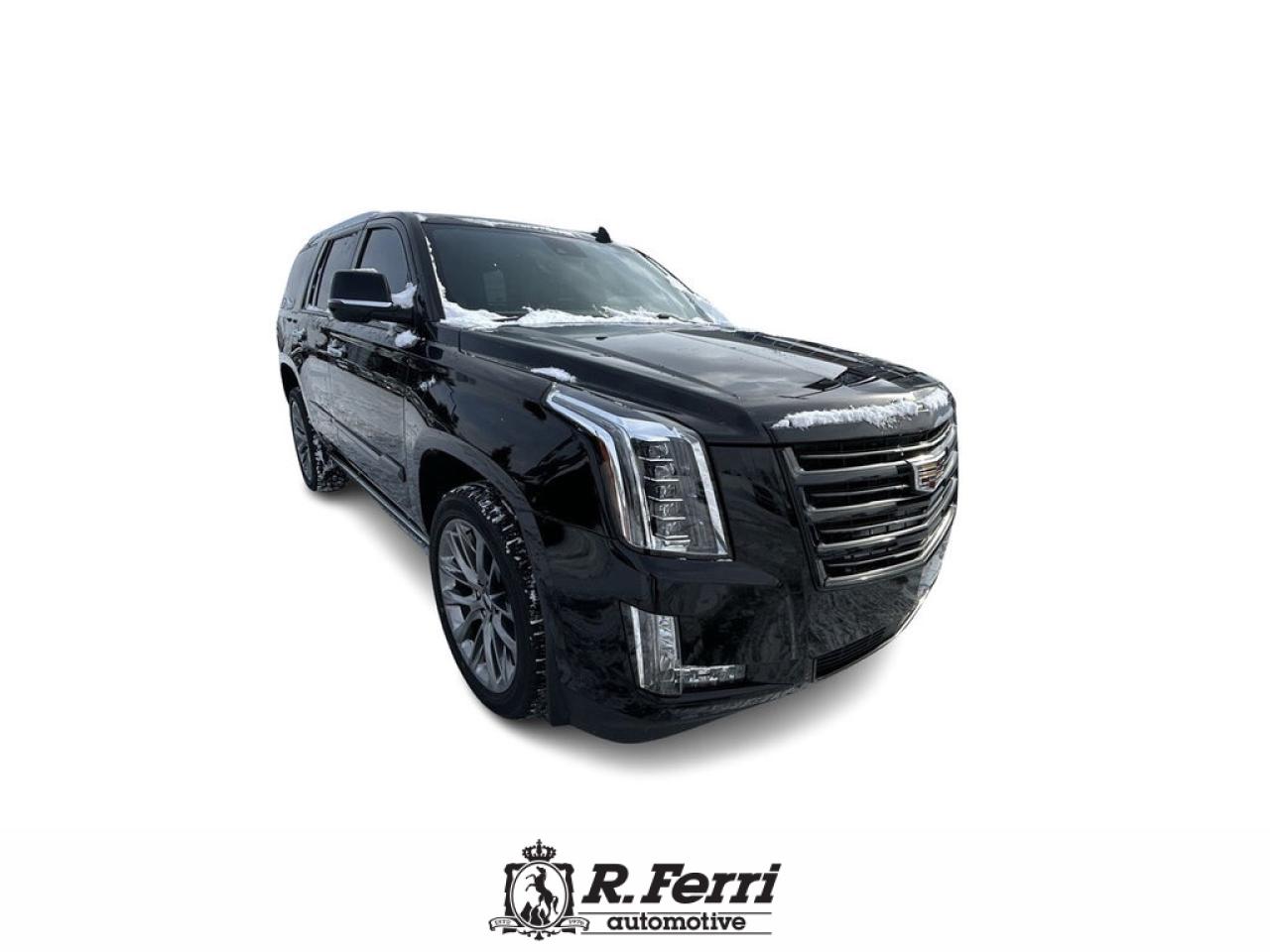 2020 Cadillac Escalade Platinum 4x4 Photo2