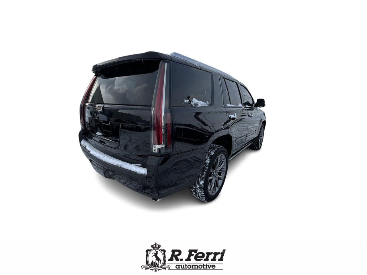 2020 Cadillac Escalade Platinum 4x4 Photo