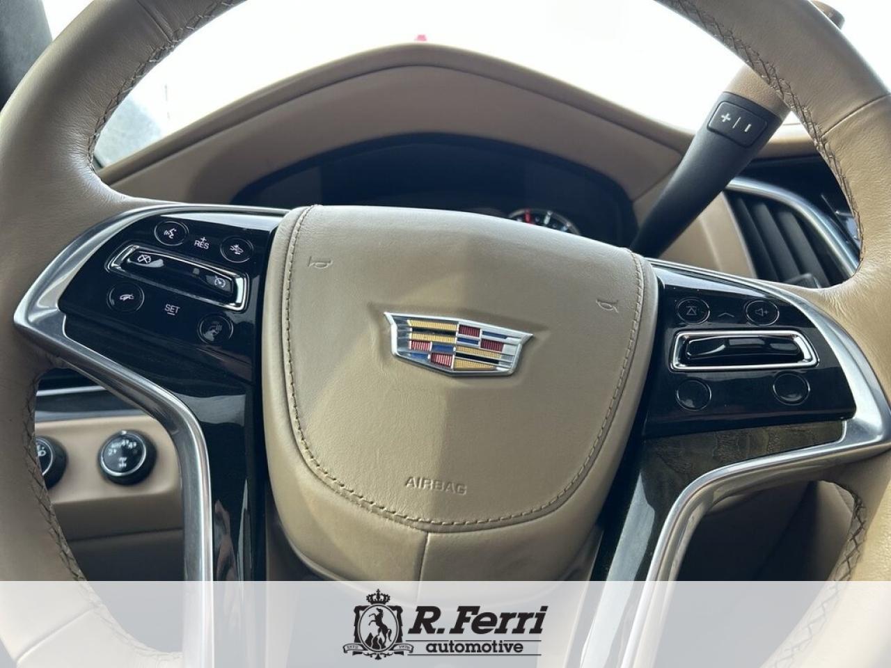 2020 Cadillac Escalade Platinum 4x4 Photo