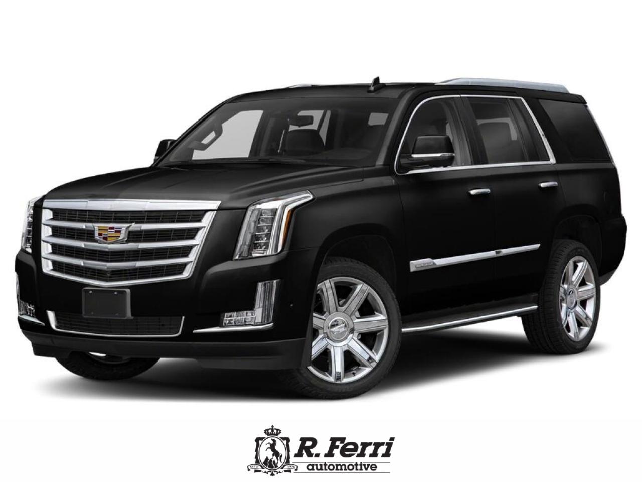 2020 Cadillac Escalade Platinum 4x4 Photo