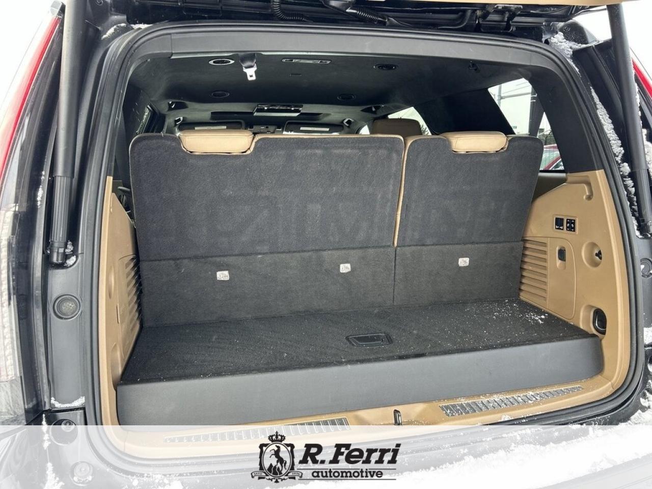 2020 Cadillac Escalade Platinum 4x4 Photo