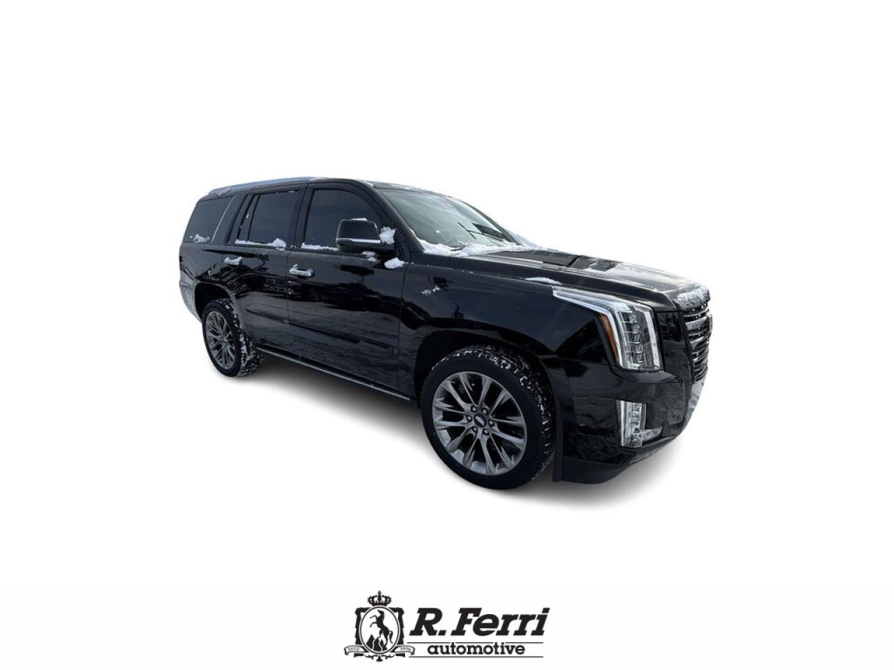 2020 Cadillac Escalade Platinum 4x4 Photo