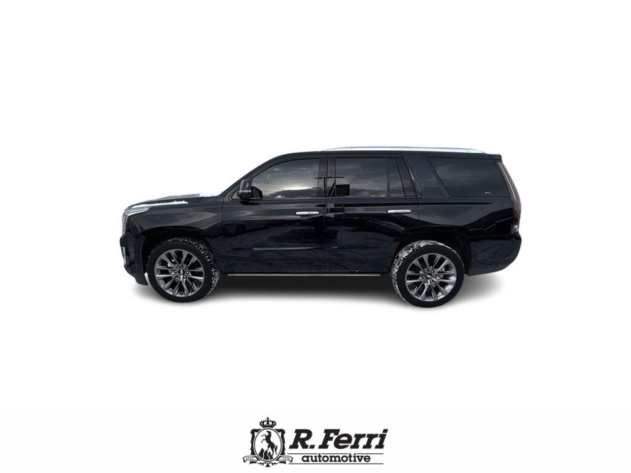 2020 Cadillac Escalade Platinum 4x4 Photo