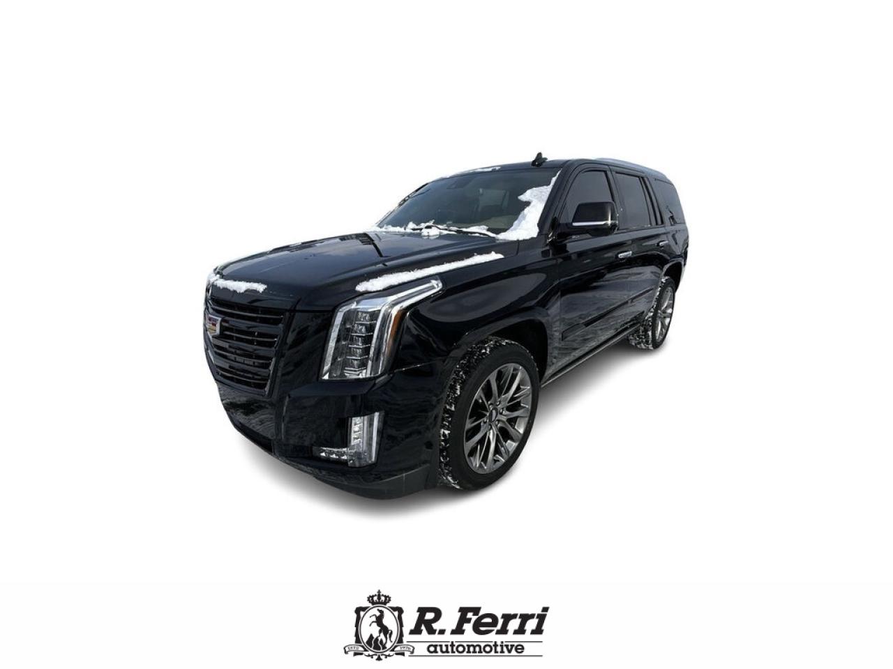 2020 Cadillac Escalade Platinum 4x4 Photo