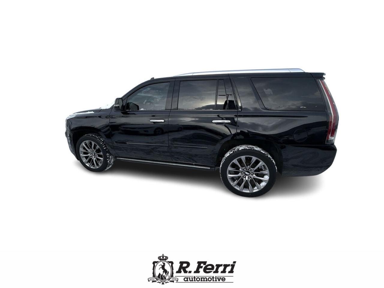 2020 Cadillac Escalade Platinum 4x4 Photo