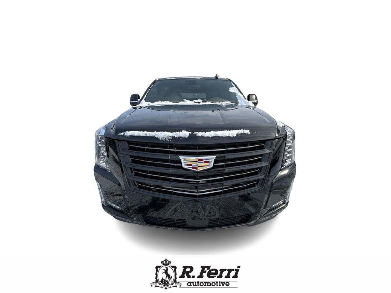 2020 Cadillac Escalade Platinum 4x4 Photo