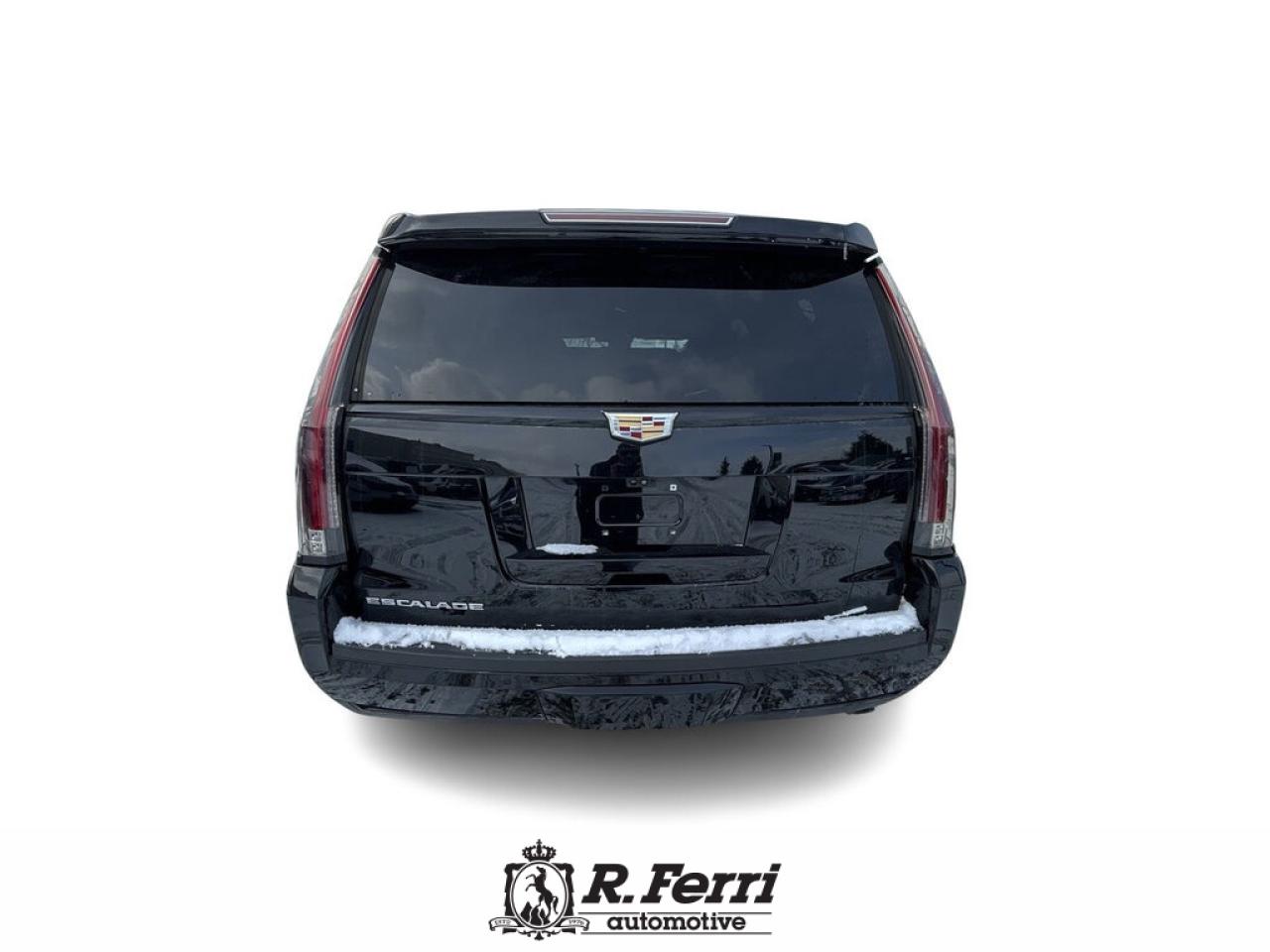 2020 Cadillac Escalade Platinum 4x4 Photo