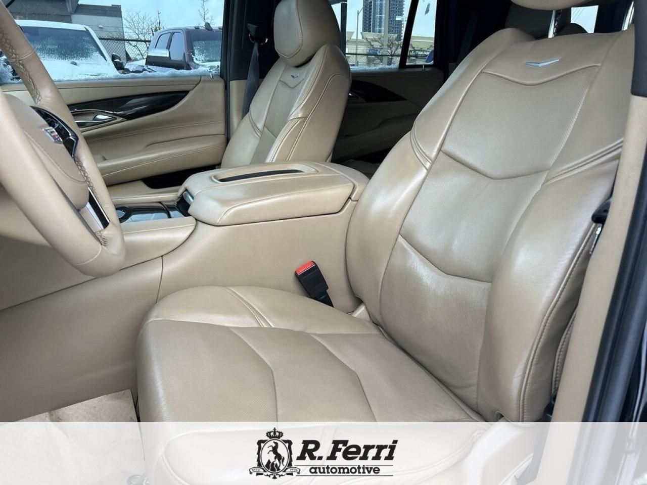 2020 Cadillac Escalade Platinum 4x4 Photo