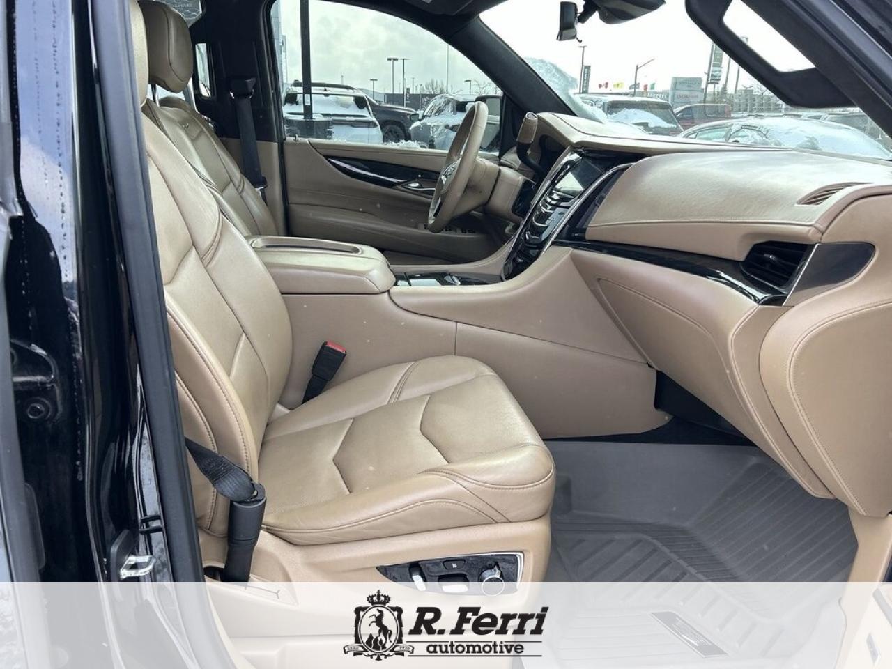 2020 Cadillac Escalade Platinum 4x4 Photo