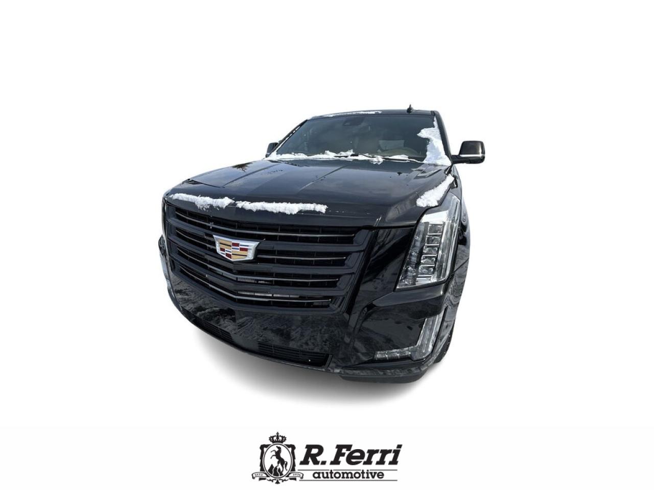 2020 Cadillac Escalade Platinum 4x4 Photo