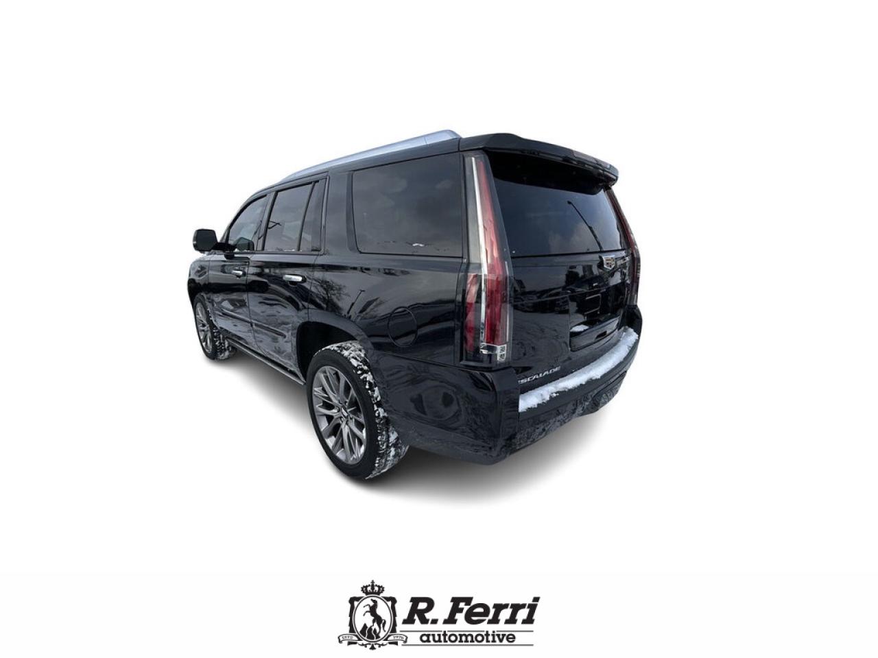 2020 Cadillac Escalade Platinum 4x4 Photo