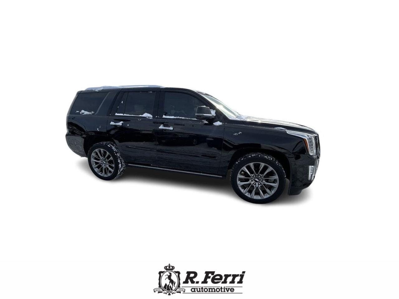 2020 Cadillac Escalade Platinum 4x4 Photo