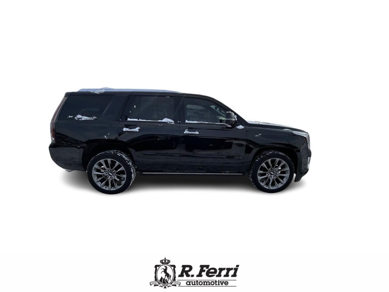 2020 Cadillac Escalade Platinum 4x4 Photo