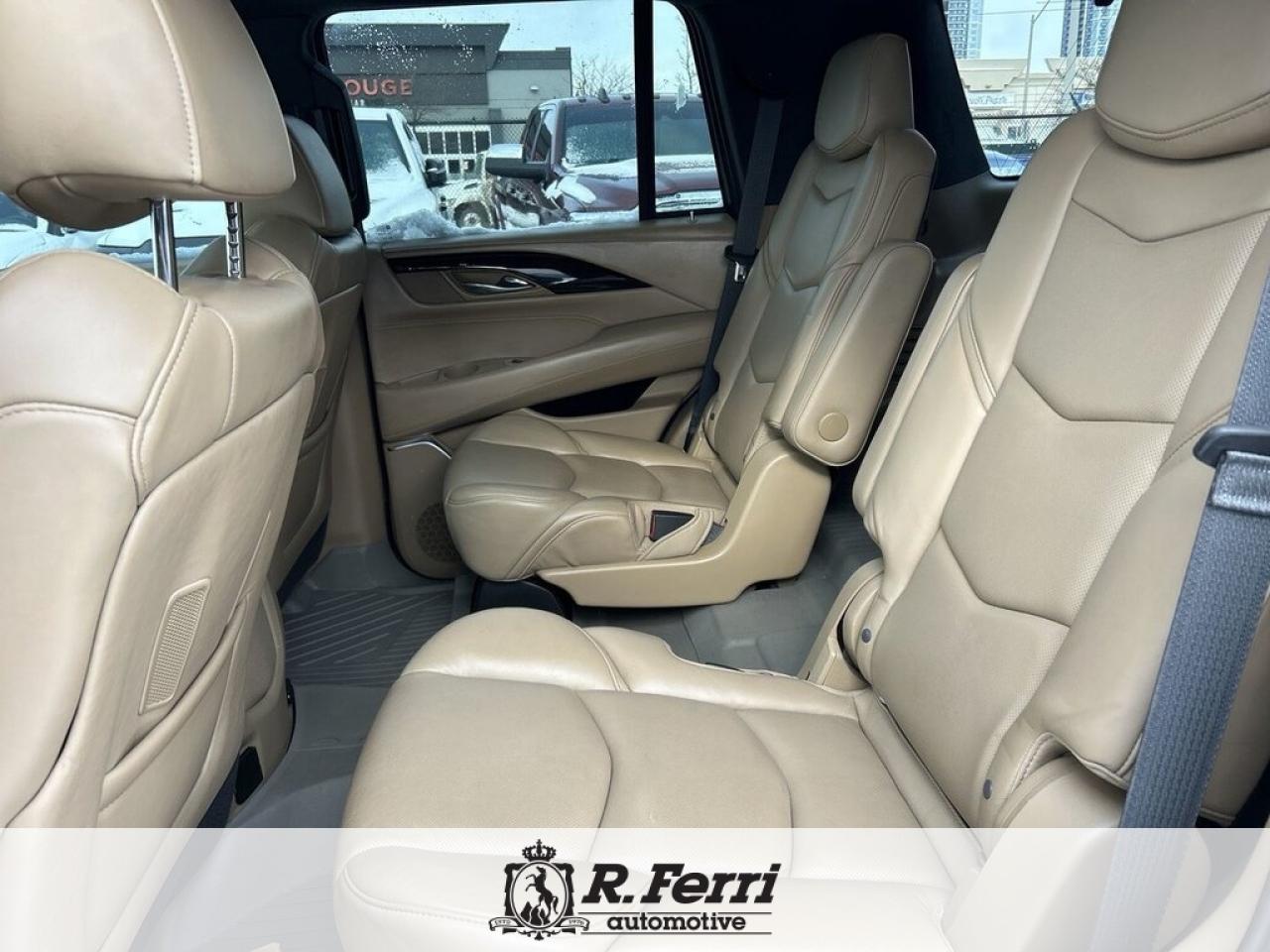 2020 Cadillac Escalade Platinum 4x4 Photo