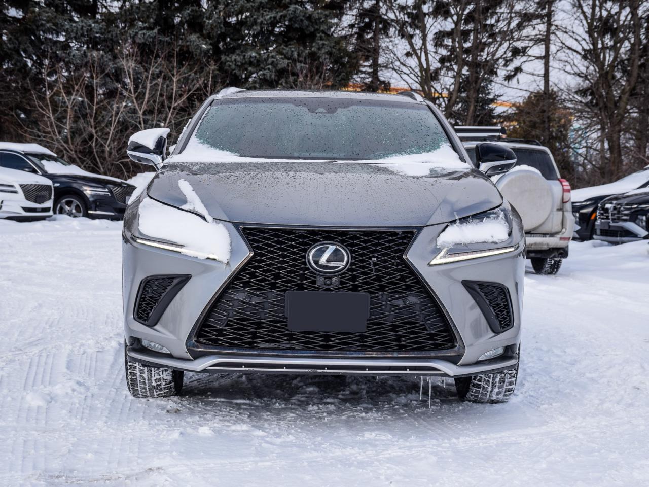 2018 Lexus NX 300 F-SPORT AWD   LOW KMS, Clean Carfax, No Accidents Photo