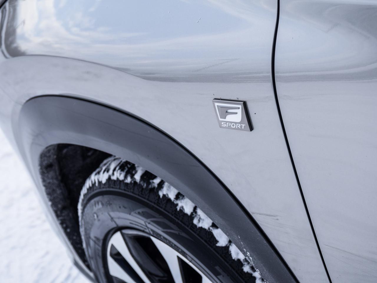 2018 Lexus NX 300 F-SPORT AWD   LOW KMS, Clean Carfax, No Accidents Photo