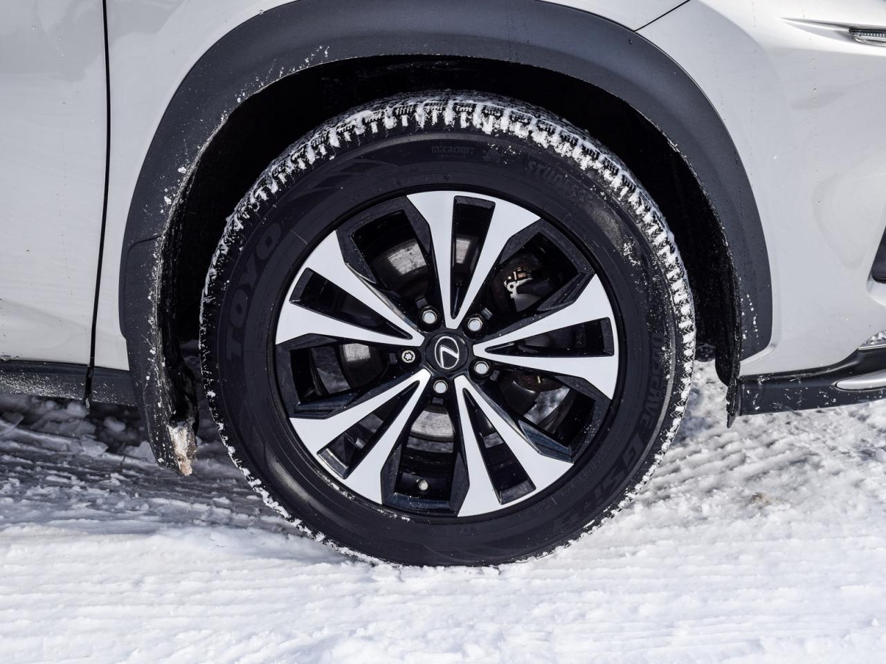 2018 Lexus NX 300 F-SPORT AWD   LOW KMS, Clean Carfax, No Accidents Photo