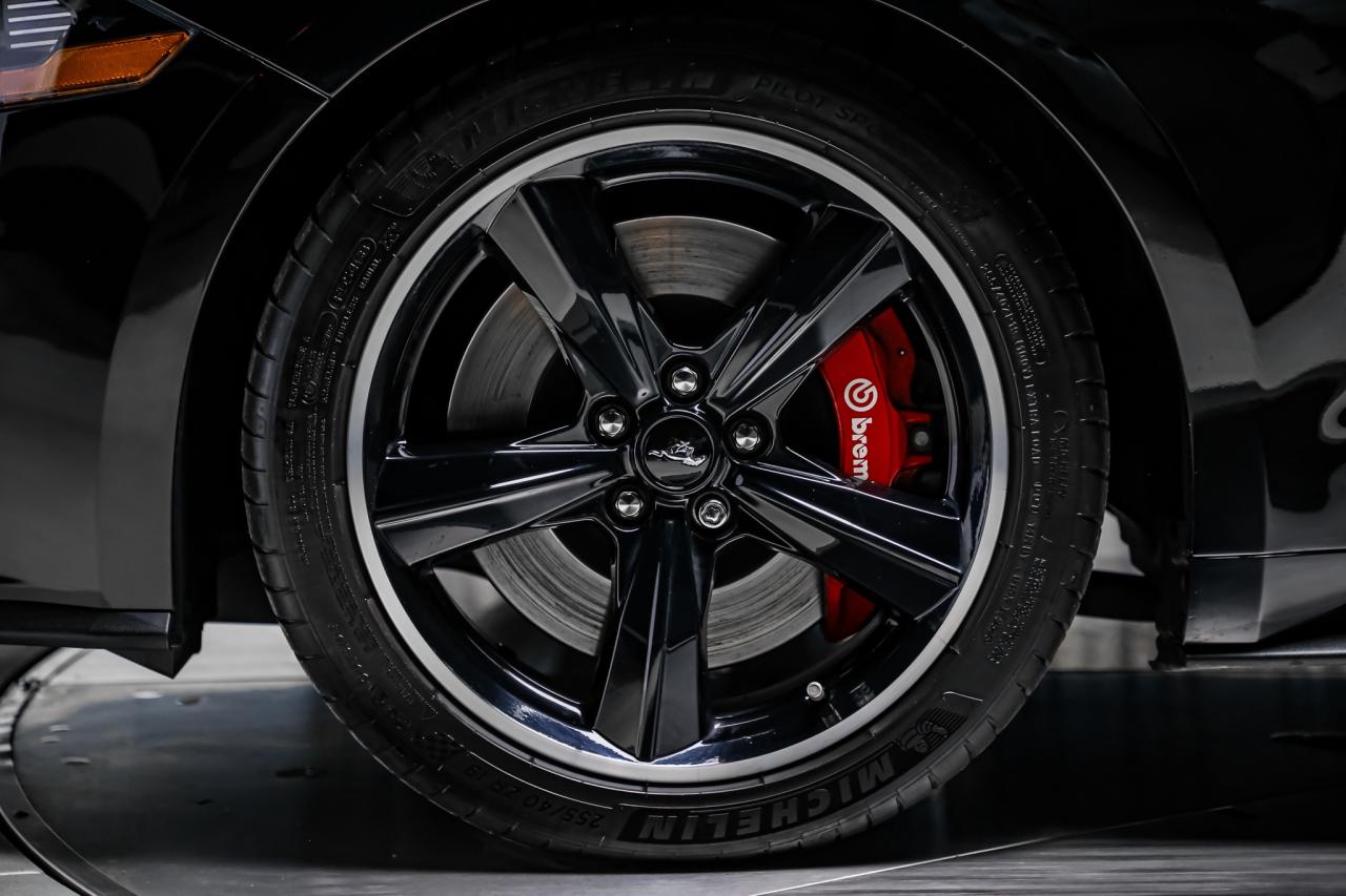 2020 Ford Mustang BULLITT 480 HP MANUAL ELEC.PKG B&O RECARO NAV CAM Photo