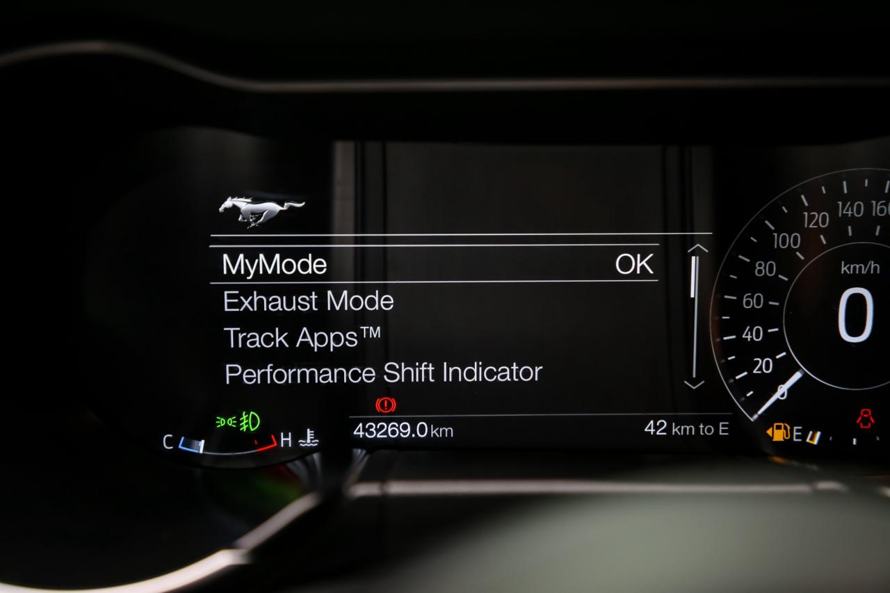 2020 Ford Mustang BULLITT 480 HP MANUAL ELEC.PKG B&O RECARO NAV CAM Photo