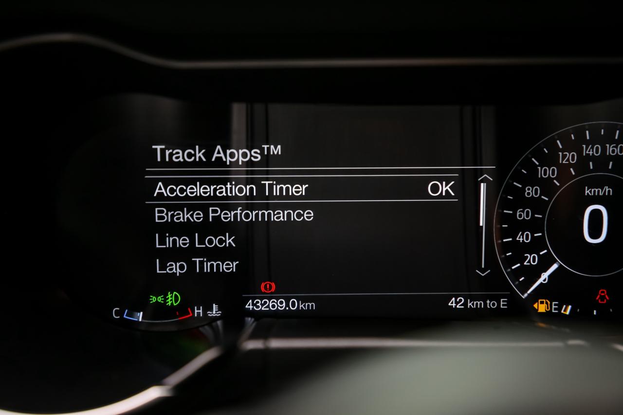 2020 Ford Mustang BULLITT 480 HP MANUAL ELEC.PKG B&O RECARO NAV CAM Photo