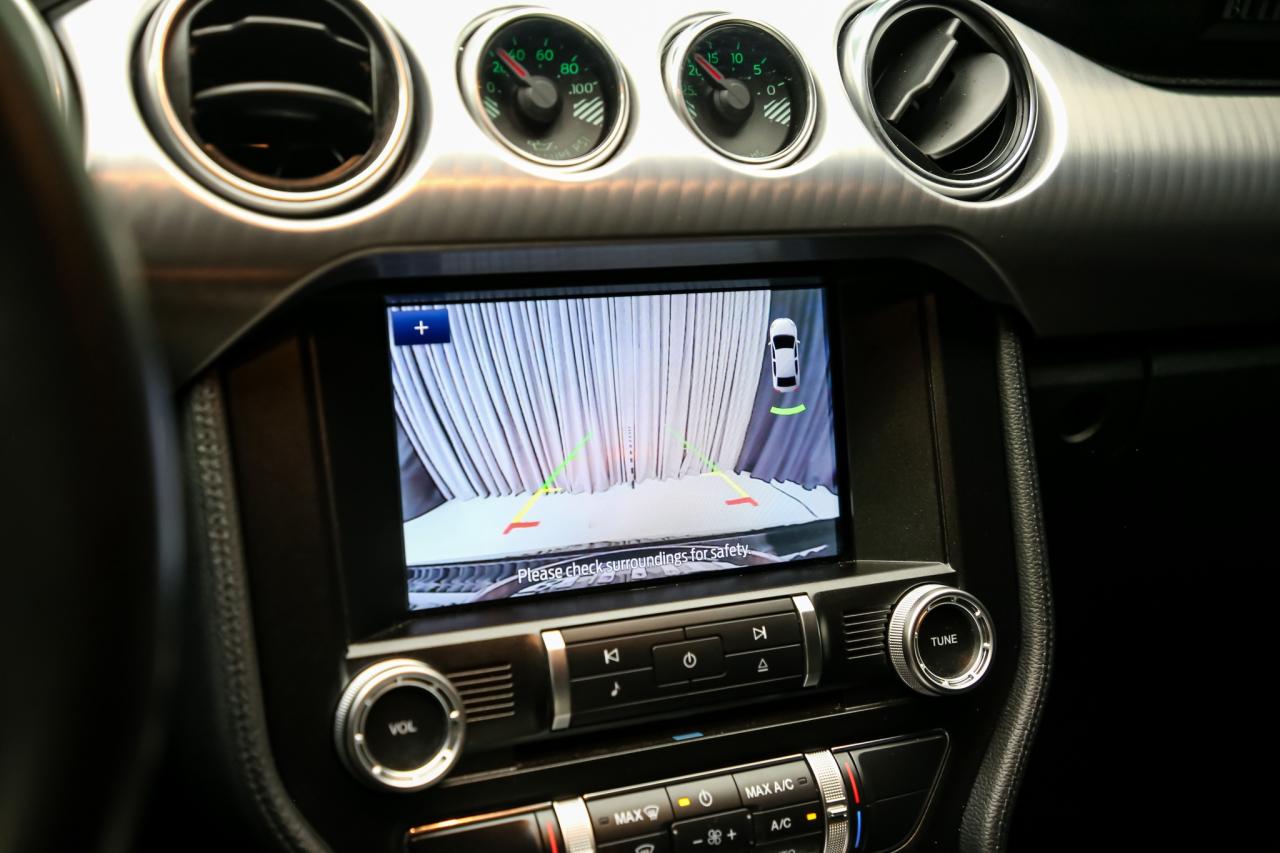 2020 Ford Mustang BULLITT 480 HP MANUAL ELEC.PKG B&O RECARO NAV CAM Photo