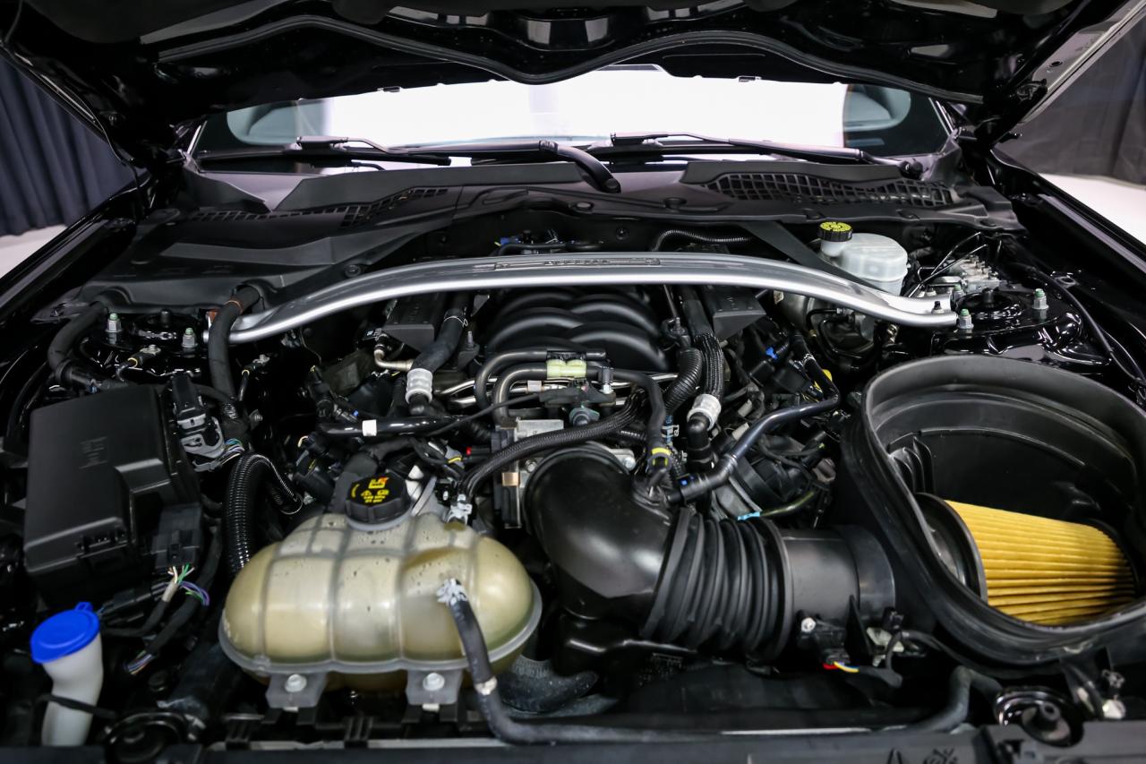 2020 Ford Mustang BULLITT 480 HP MANUAL ELEC.PKG B&O RECARO NAV CAM Photo