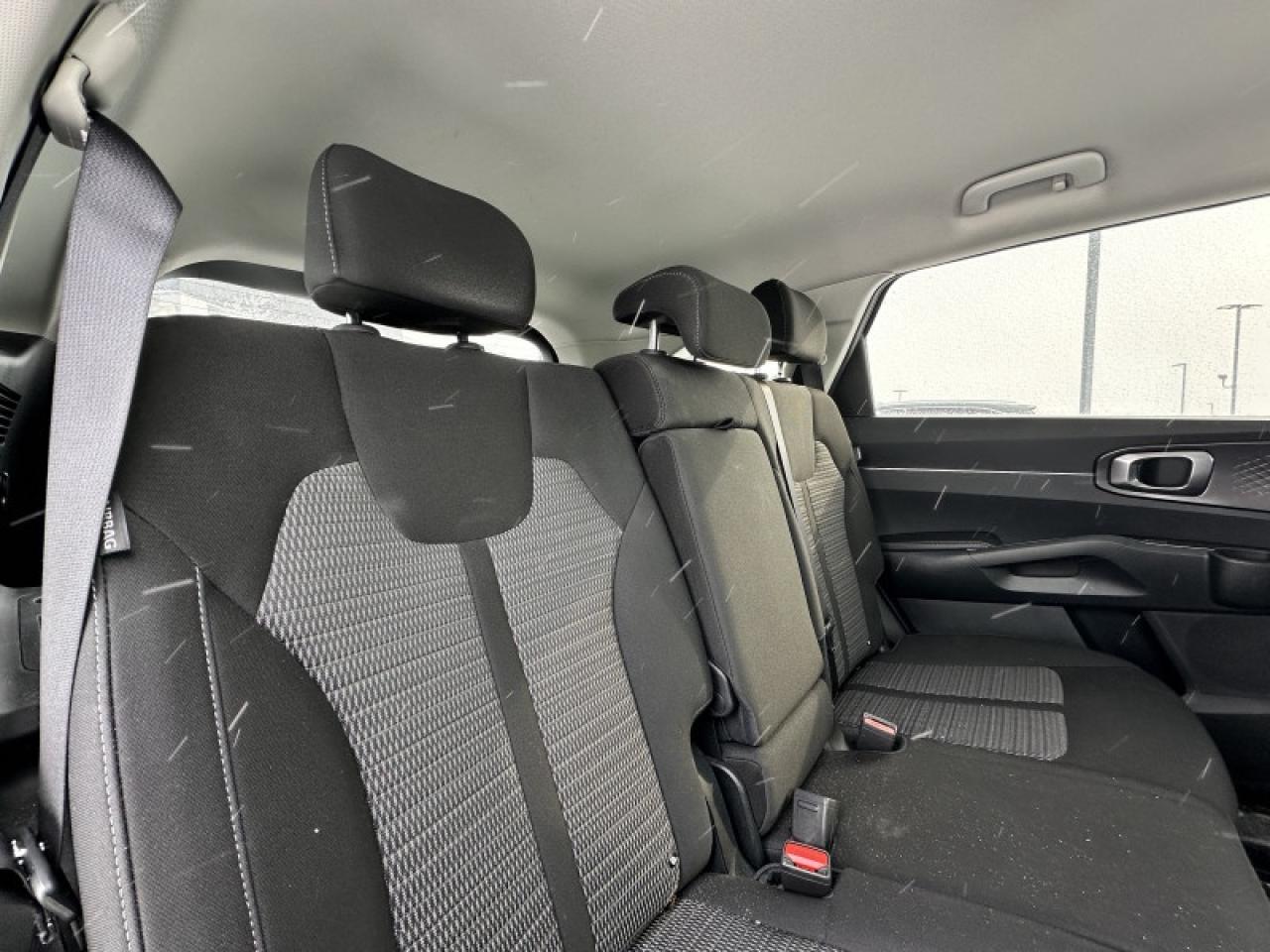 2024 Kia Sorento LX Photo