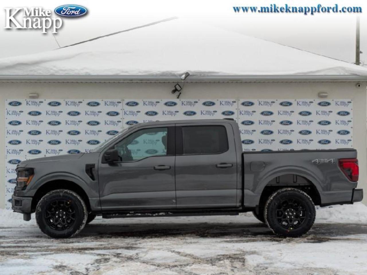 2026 Ford F-150 XLT Photo
