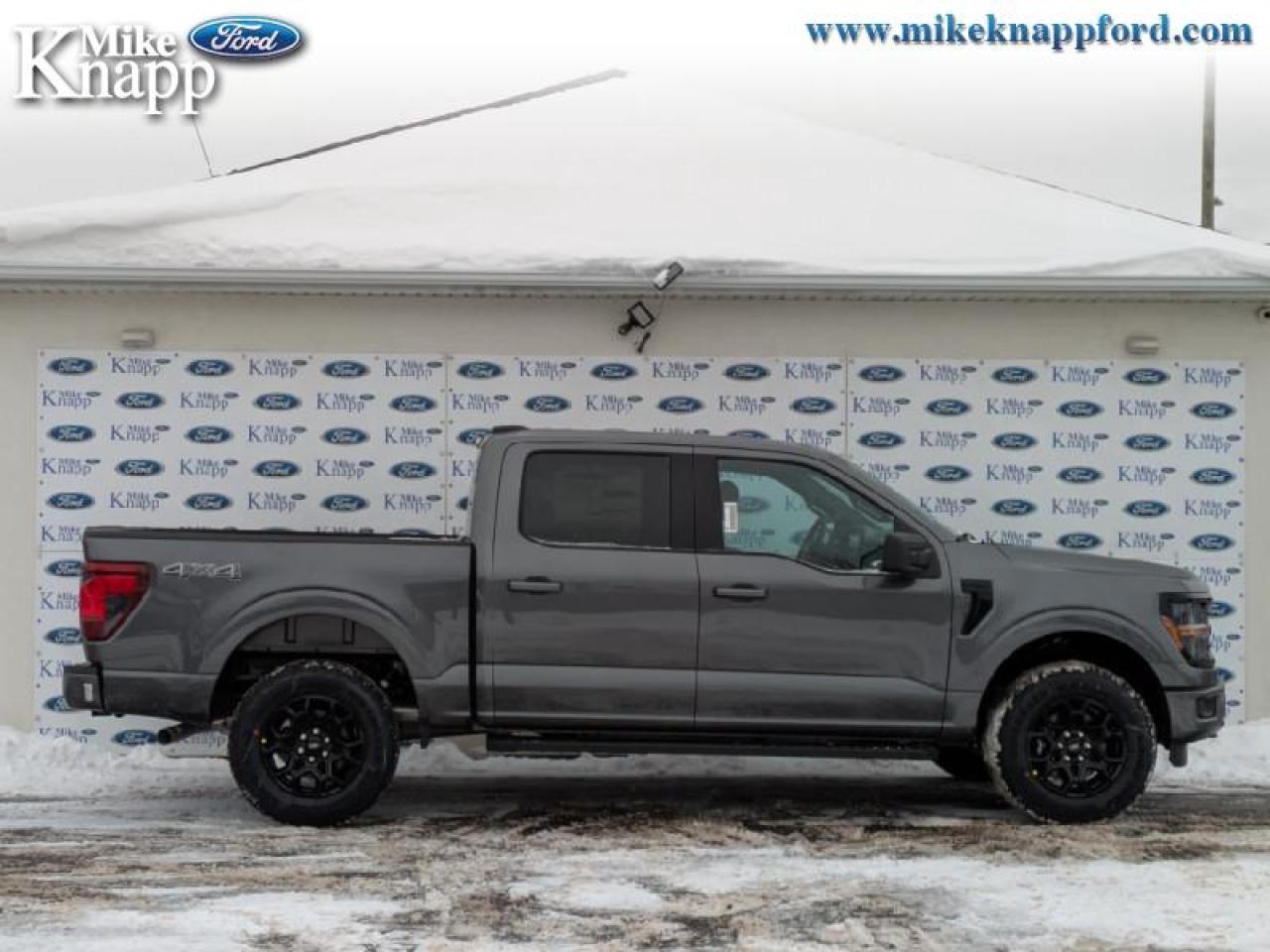 2026 Ford F-150 XLT Photo