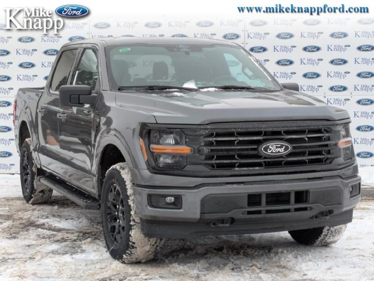 2026 Ford F-150 XLT Photo