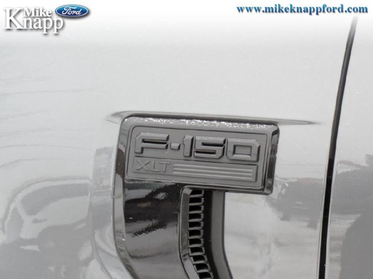 2026 Ford F-150 XLT Photo