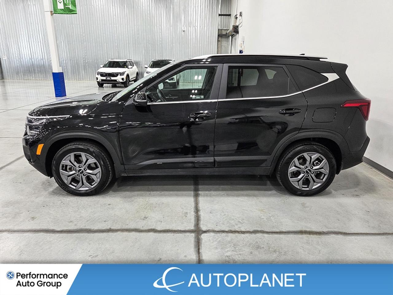 2025 Kia Seltos EX AWD  - FINANCE@$92/WK OR LEASE @$106/WK Photo