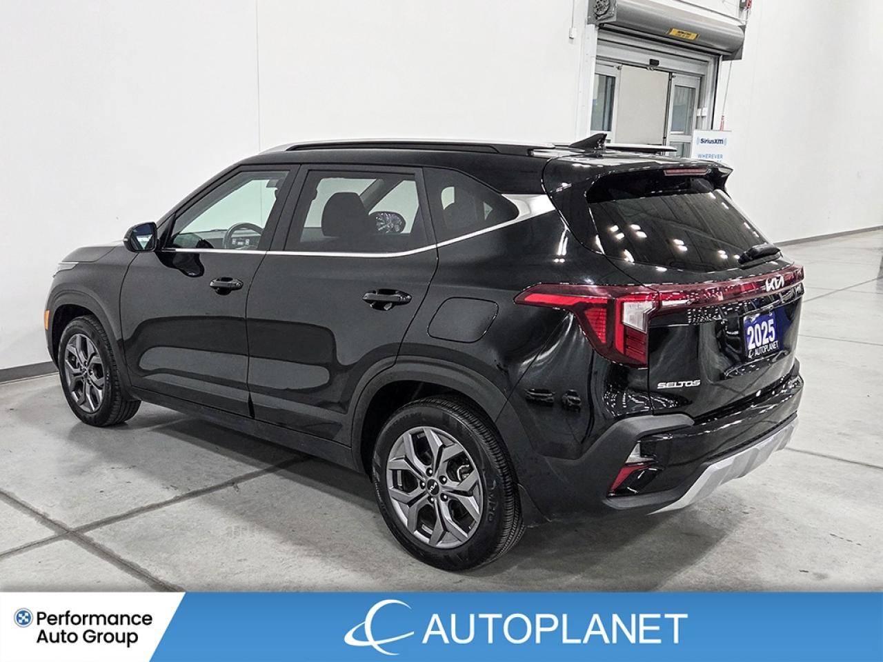 2025 Kia Seltos EX AWD  - FINANCE@$92/WK OR LEASE @$106/WK Photo