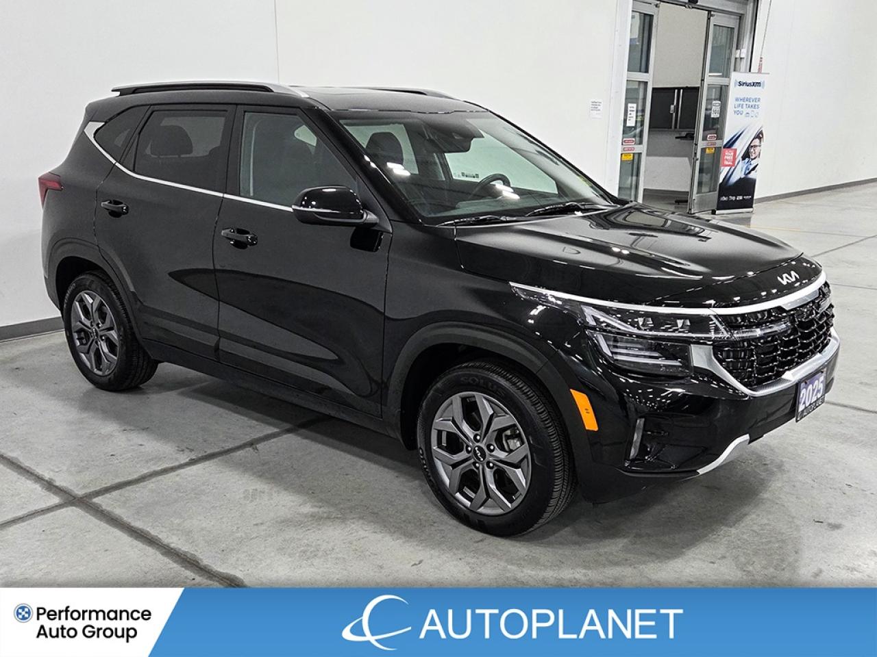 2025 Kia Seltos EX AWD  - FINANCE@$92/WK OR LEASE @$106/WK Photo