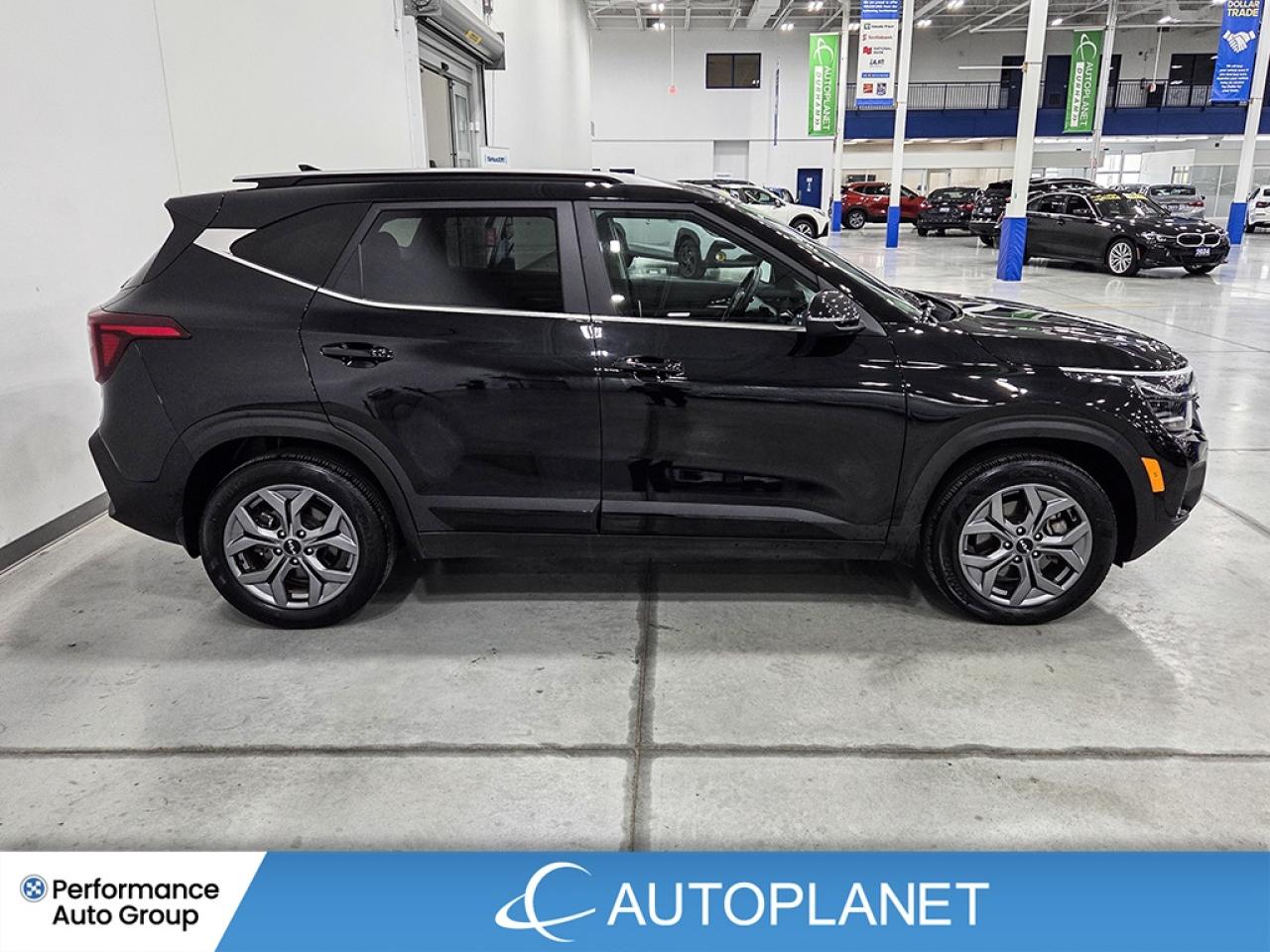 2025 Kia Seltos EX AWD  - FINANCE@$92/WK OR LEASE @$106/WK Photo