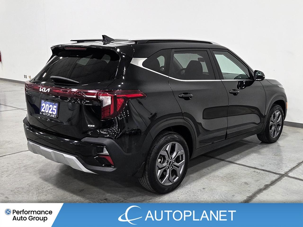 2025 Kia Seltos EX AWD  - FINANCE@$92/WK OR LEASE @$106/WK Photo