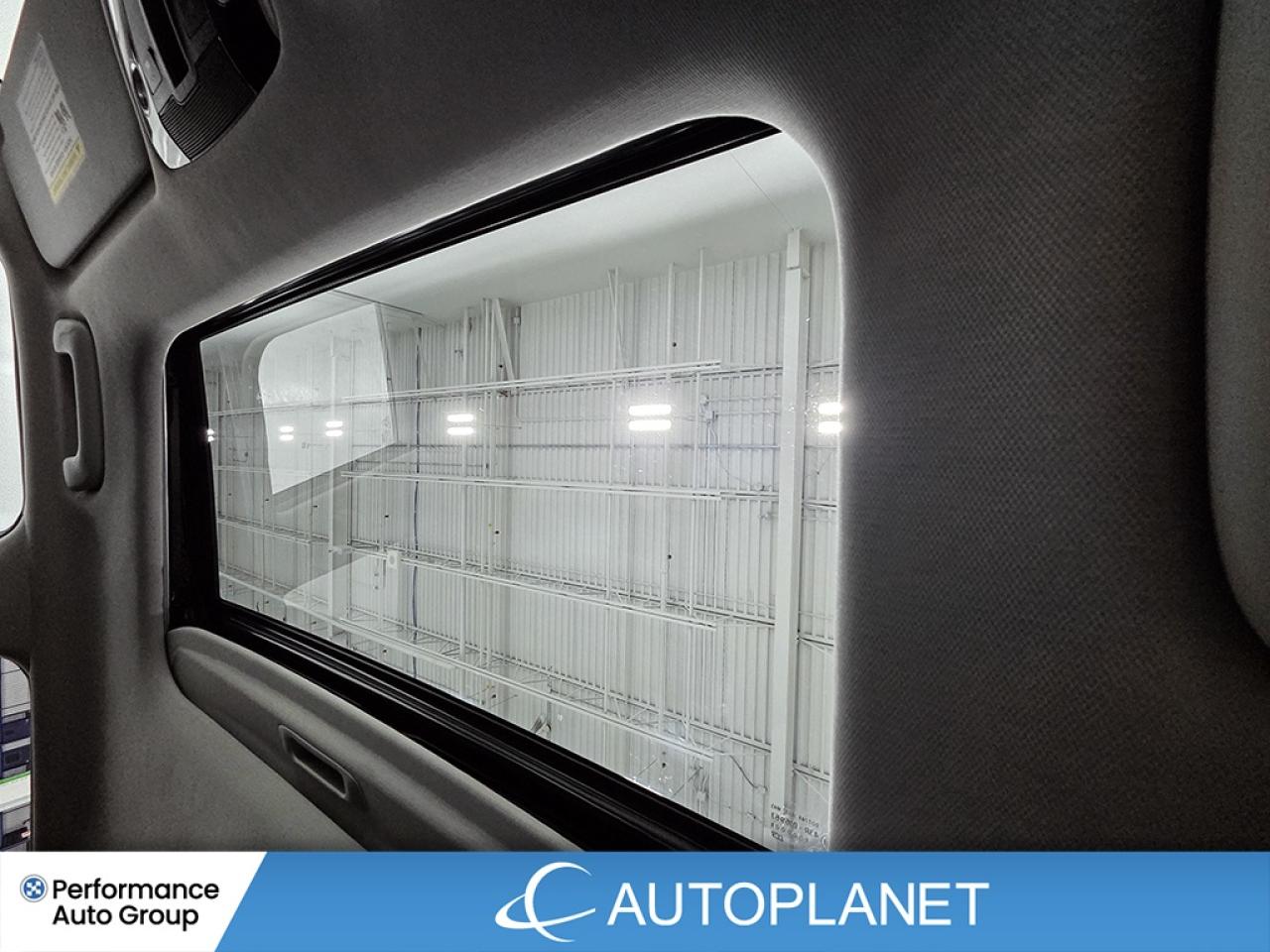 2025 Kia Seltos EX AWD  - FINANCE@$92/WK OR LEASE @$106/WK Photo