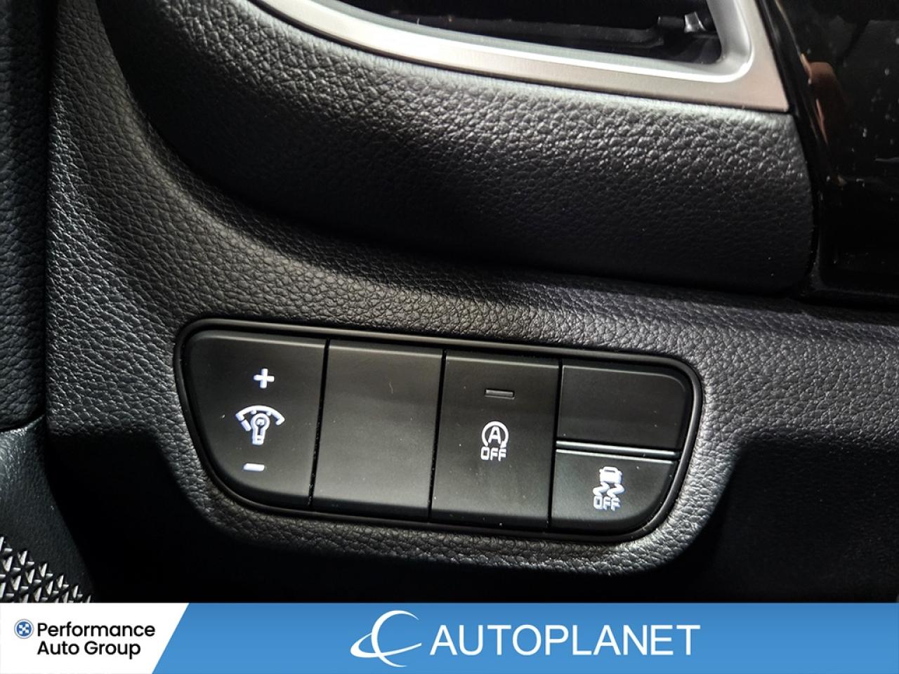 2025 Kia Seltos EX AWD  - FINANCE@$92/WK OR LEASE @$106/WK Photo