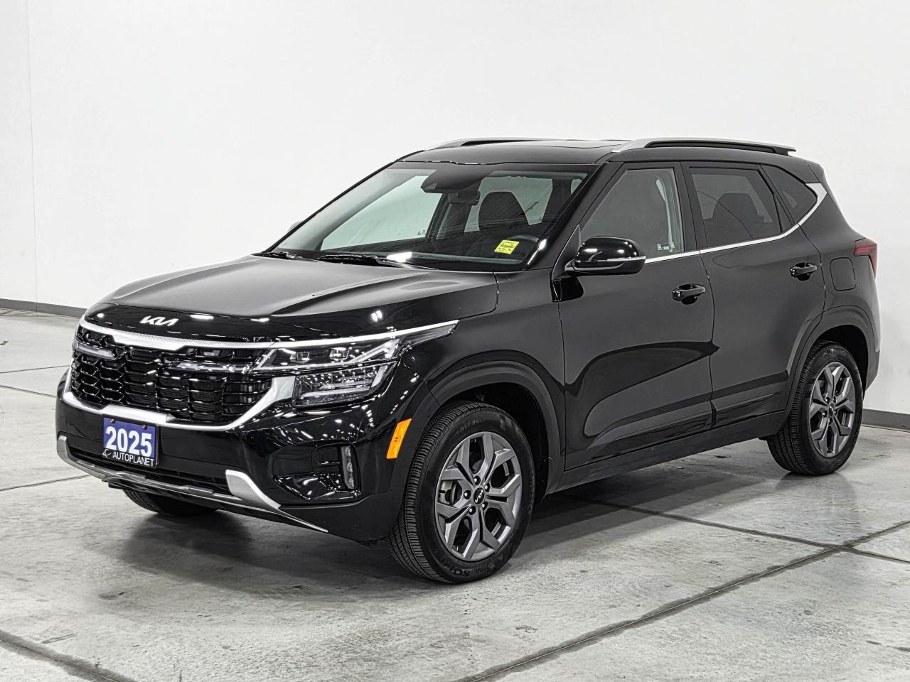 2025 Kia Seltos EX AWD  - FINANCE@$92/WK OR LEASE @$106/WK Photo