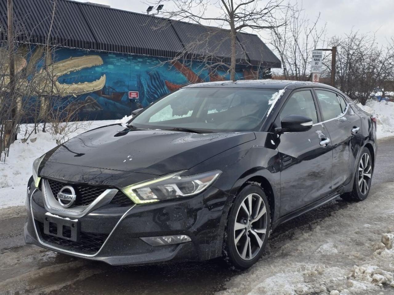 2016 Nissan Maxima 4dr Sedan SV Photo