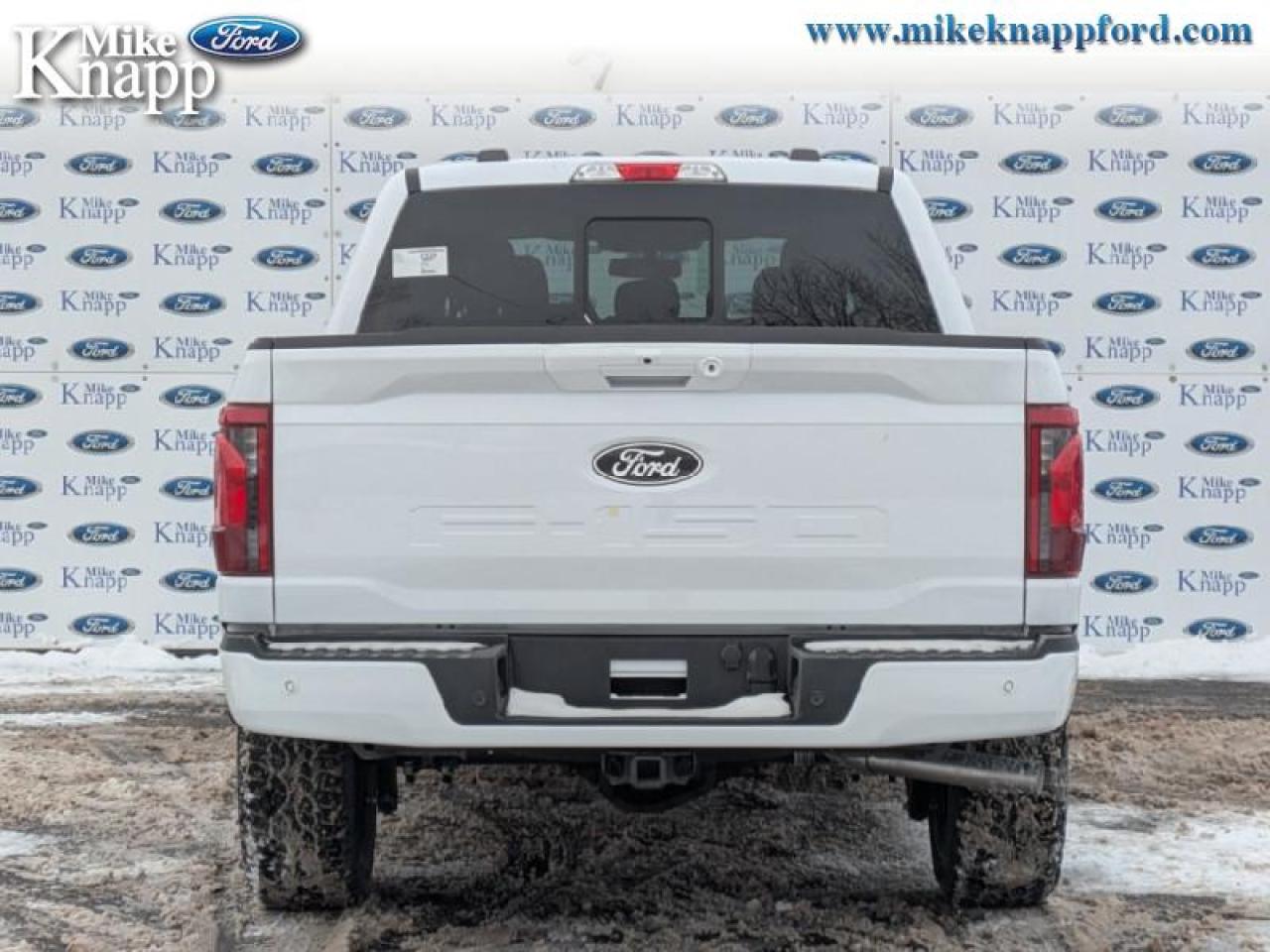 2026 Ford F-150 XLT Photo