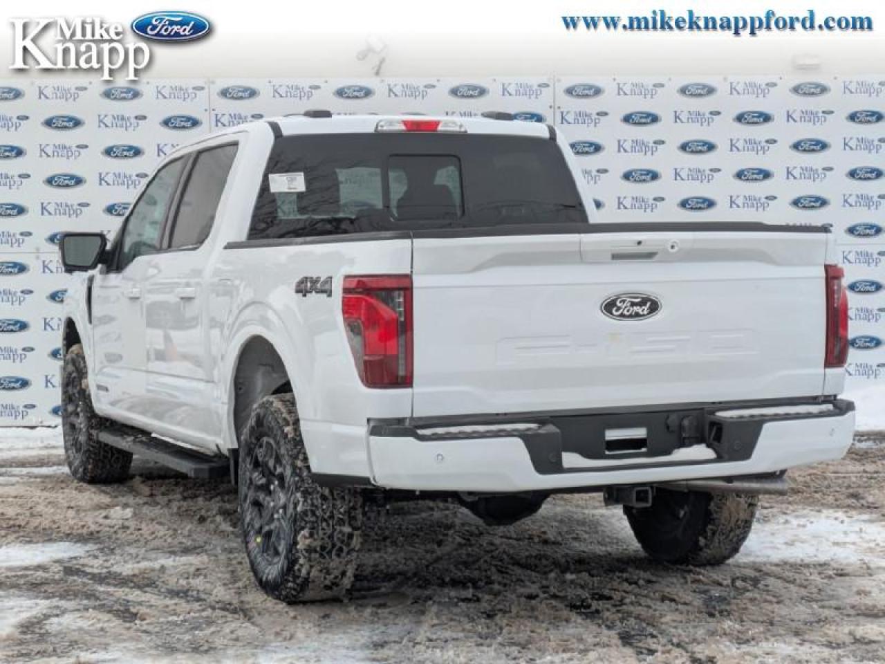 2026 Ford F-150 XLT Photo