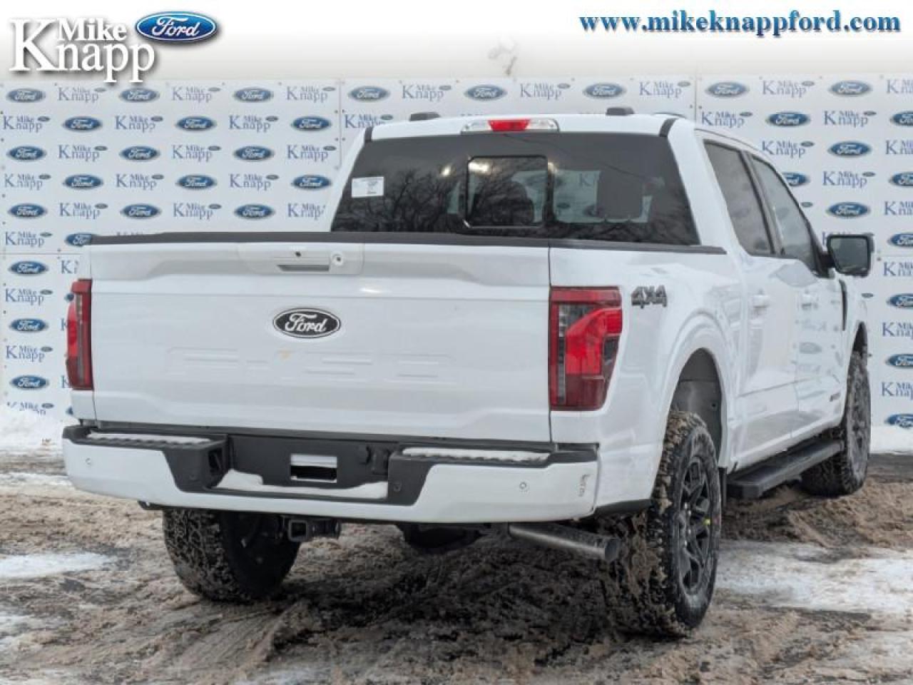 2026 Ford F-150 XLT Photo