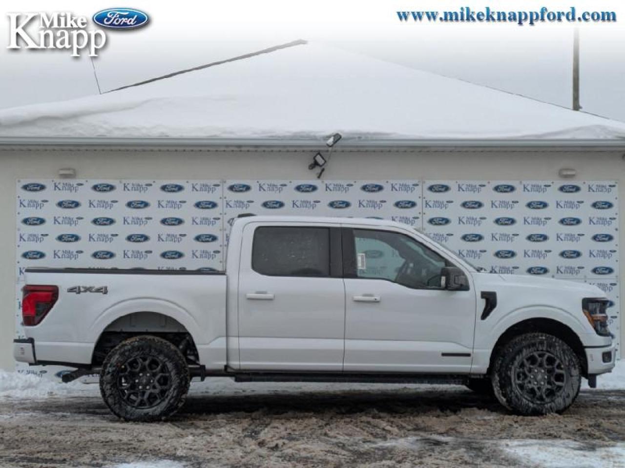 2026 Ford F-150 XLT Photo
