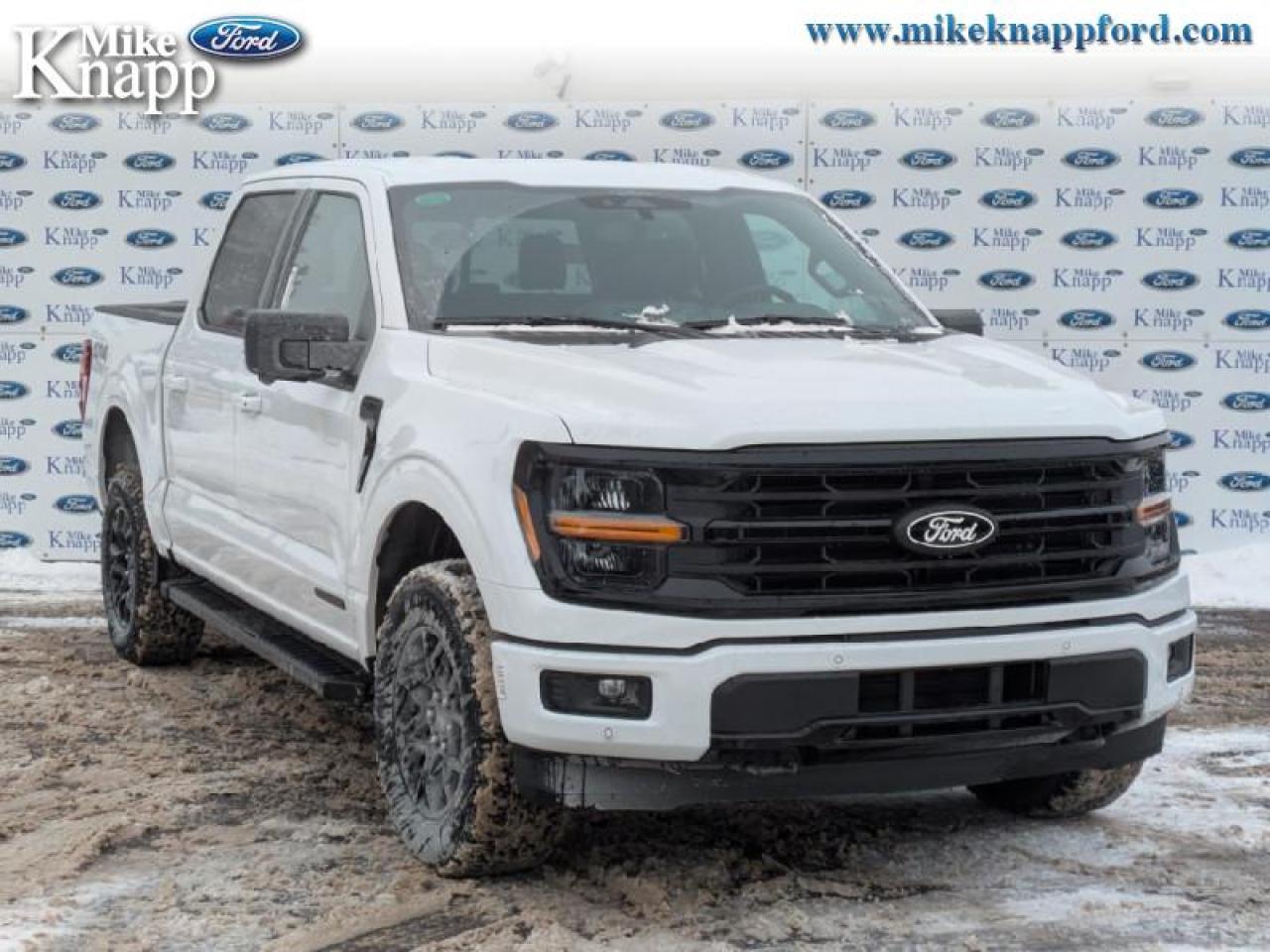 2026 Ford F-150 XLT Photo