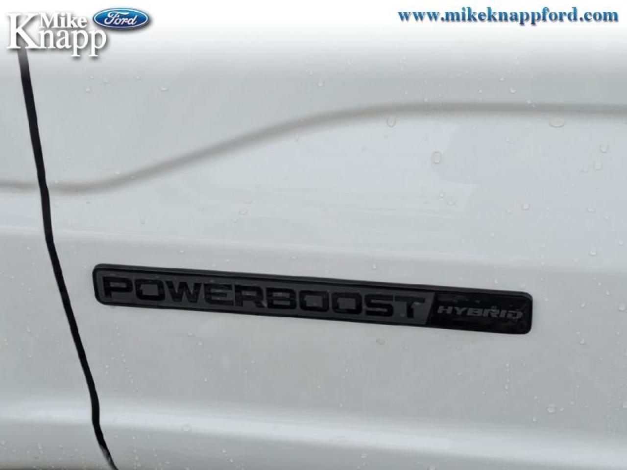 2026 Ford F-150 XLT Photo