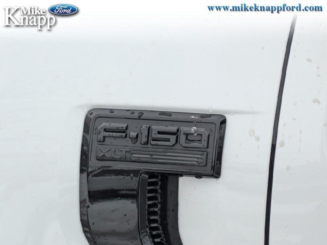 2026 Ford F-150 XLT Photo