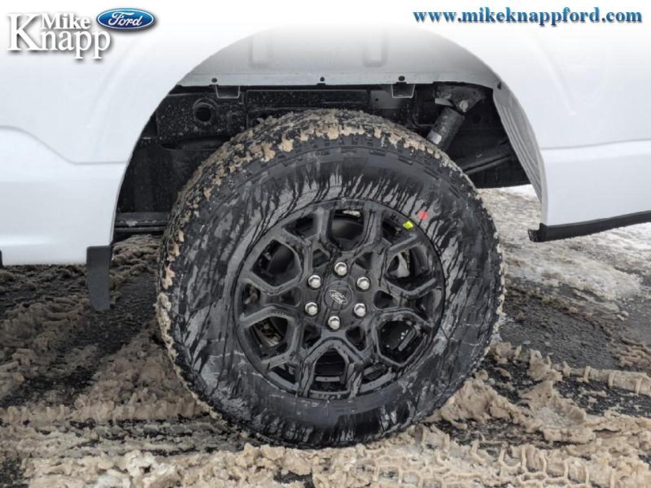 2026 Ford F-150 XLT Photo